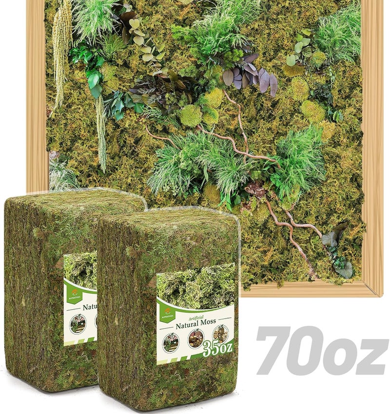 Alphatool 70oz Jumbo Pack Natural Green Moss for Crafts - Bulk Moss for Plants Indoor, Artificial Fairy Gardens, Mosswall, Filling Fake Plants, Floral Design, Home Decoration, Professional DIY Use - Image 1